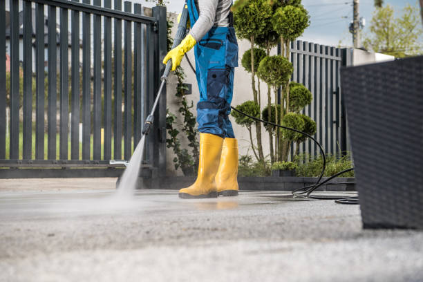 Best Graffiti Removal  in Norwich, NY